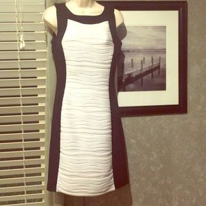 cK black white work/cocktail dress